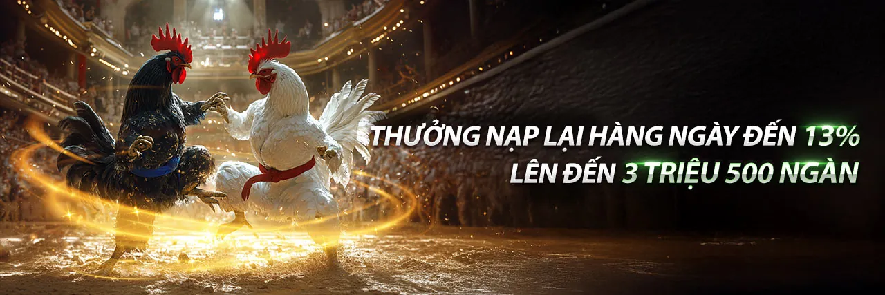 Sân đấu đá gà Thomo trực tiếp